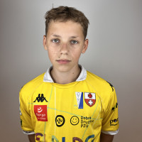 player-avatar