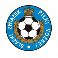 Śląska Akademia Piłkarska-logo