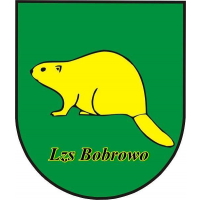 LZS Bobrowo