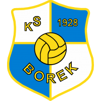 Klub Sportowy Borek Kraków
