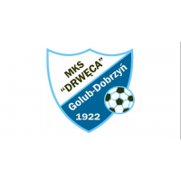 Drwęca Golub-Dobrzyń