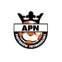 APN Piotrków Trybunalski-logo